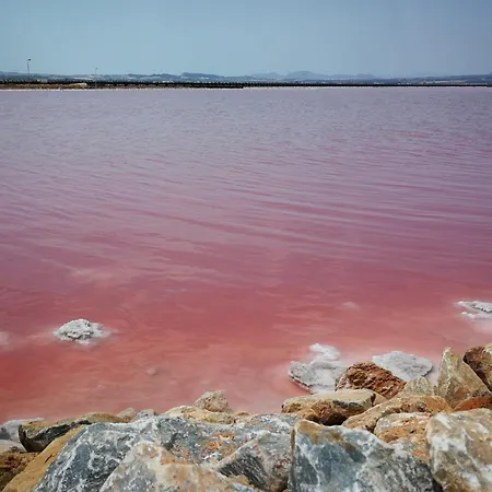 Carmen Апартаменты Торевьиа